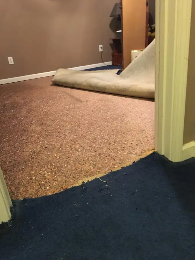 Carpet pad removal revealing water damage during Drying & Dehumidification in Williams