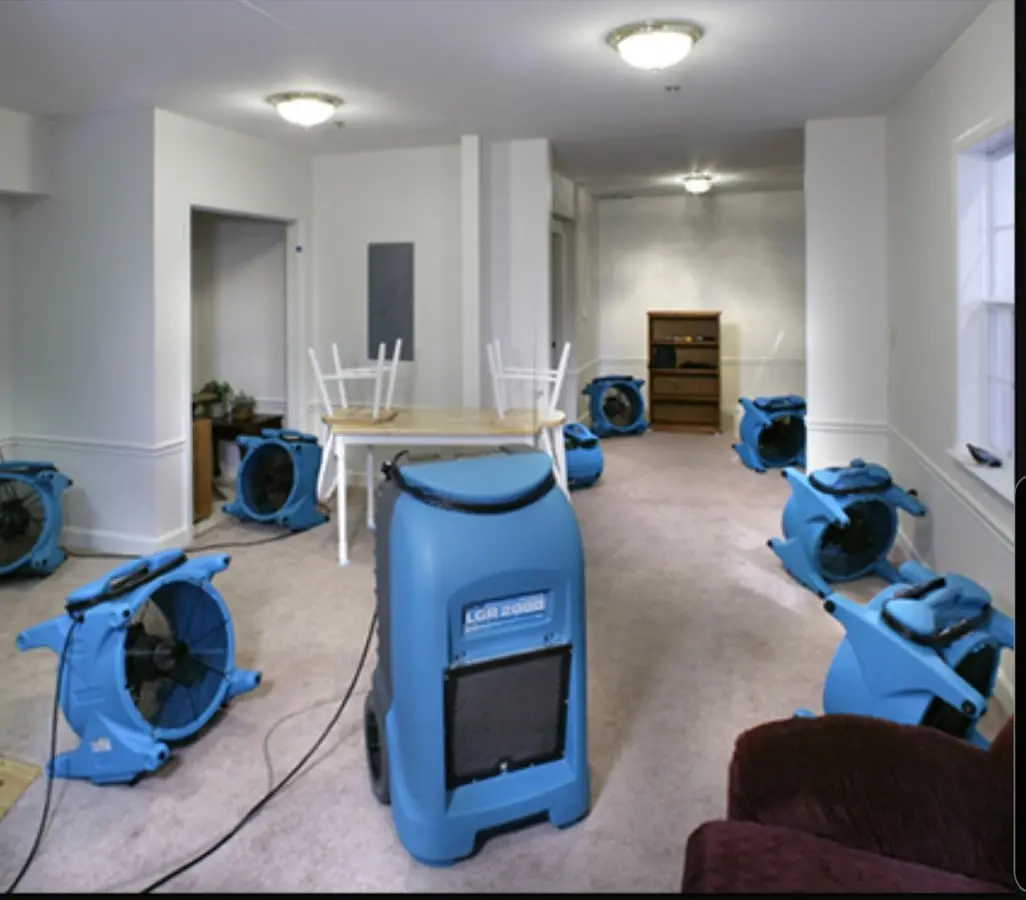 Air movers and dehumidifier setup for Water Extraction & Removal in Williams