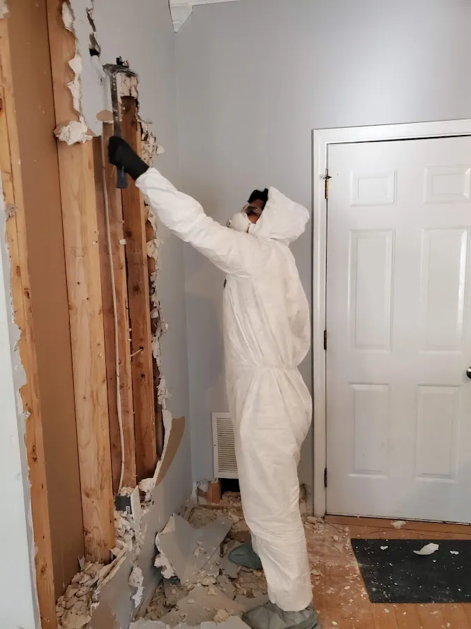 Water Damage Restoration services in Williams, CA